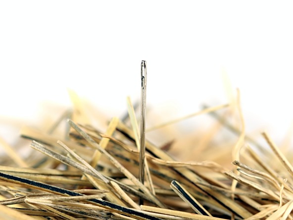 Needle haystack crop